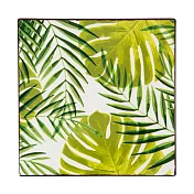 《EXCELSA》Foliage陶製隔熱墊(熱帶植葉) | 桌墊 鍋墊 餐墊 耐熱墊 杯墊
