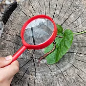 《Rex LONDON》手持式輕巧放大鏡(紅3x) | 閱讀放大 輔助視力 輔助放大