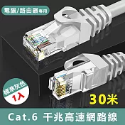 Cat.6標準RJ45網路傳輸圓線-30米