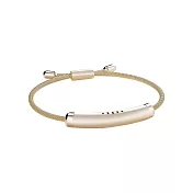 BESTHOT 精油防蚊手環(不透明款) 香檳金