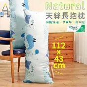 【三合苑】100%純天絲長抱枕 日本JIS抗菌 可水洗 台灣製 43x112cm 交換禮物 天絲抱枕 鯨魚海洋