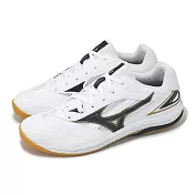 Mizuno 桌球鞋 Wave Drive 9 男鞋 女鞋 白 黑 膠底 抓地 運動鞋 美津濃 81GA2205-52 29cm WHITE/BLACK