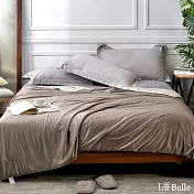義大利La Belle《奢華光采》臻蠶絲可水洗涼感涼被(180x205cm)-咖啡色