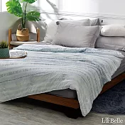 義大利La Belle《藍莓千層》海島針織防蟎抗菌涼被5*6尺