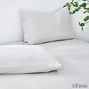 義大利La Belle《芝麻歐蕾》眠綿冰涼感信封枕套--2入