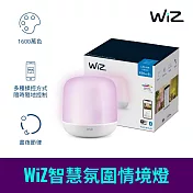 Philips 飛利浦 Smart LED WiZ 智慧照明氛圍情境燈 (PW008)