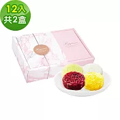 樂活e棧-中秋月餅禮盒-蒟蒻冰晶綜合月餅12顆x2盒(全素甜點冰品水果) 無 9/19(五)~9/25(四)