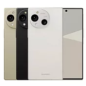 Sharp AQUOS R10 (12G/256G)※送支架※  米