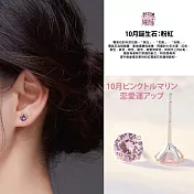 【Sayaka紗彌佳】925純銀 日本誕生石系列 單鑽耳環 6mm款 -多色任選 -10月-粉鋯石款