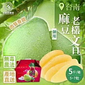 【家購網嚴選】台南麻豆御用老欉文旦 5斤(5~7粒/箱) 下單後5天出貨