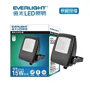 EVERLIGHT 億光15W恆亮投光燈IP65 白光