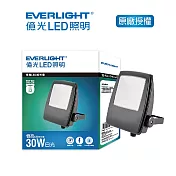 EVERLIGHT 億光30W恆亮投光燈IP65 白光