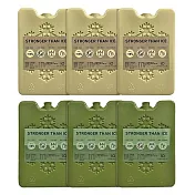 iO長效冰磚  iCP220  三入｜FDA、SGS認證 220g-沙色三入