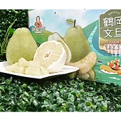 【黑貓嚴選】阿婆の柚兒園-文旦(6000g/箱)(CAT)(9/18後依訂單順序出貨)