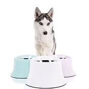 【摩達客寵物】優質高腳護頸斜口防滑加厚狗碗寵物碗_白色M(寵物護頸 高腳飼料碗) 白色M