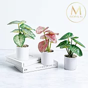 【Floral M】辦公室海芋三兄妹仿真綠植