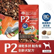 耐吉斯 P系列 全齡犬 單包 9.5磅 P1凍乾多拼鹿肉餐/P2凍乾多拼鮭魚餐 凍乾飼料 專利益生菌-  P2 凍乾多拼鮭魚餐9.5LB