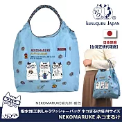 【Kusuguru Japan】日本眼鏡貓 買一送一買就送海綿刷3件組 防潑包 手拿包 斜背包 刺繡尼龍購物袋(多款任選) -防潑刺繡購物袋-E款