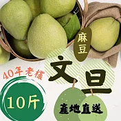 【鮮食優多】台南麻豆40年老欉文旦 10斤