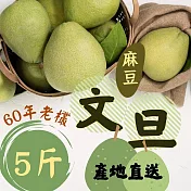 【鮮食優多】台南麻豆60年老欉文旦 5斤