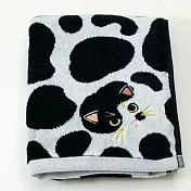 我家喵喵今治長巾 紳士賓士貓