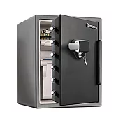 美國SentrySafe 電子觸控鎖防火防水金庫(大) 60.3x47.2x49.1 cm /台 SFW205UPC