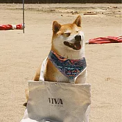 Viva Land OUTDOOR NATION寵物領巾 S 彩色