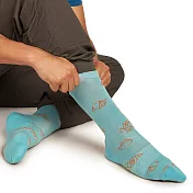 【紐西蘭Icebreaker】男 中筒輕薄毛圈休閒襪(營火露營) S 藍綠