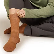 【紐西蘭Icebreaker 】男 中筒薄毛圈都會休閒襪- S 陶土橘