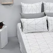 【麗塔寢飾】60支紗精梳棉 雙人加大床包 旅人