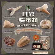 【賽先生科學工廠】口袋標本箱-化石系列(六款隨機出貨)