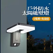 CS22 戶外庭園太陽能感應燈 -1入 砂黑款