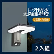 CS22 戶外庭園太陽能感應燈 -2入 砂黑款