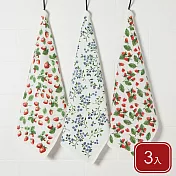 《NOW》純棉擦拭布3入 - 莓莓總匯76x51cm