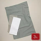 《NOW》純棉擦拭布3入(莫蘭迪76x51cm) | 廚房抹布 清潔布 擦拭布 茶巾