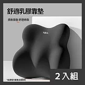 CS22 辦公室座椅舒適乳膠靠墊 -2入 黑色
