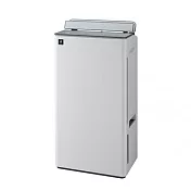 SHARP 夏普 乾淨方 雙氣流美型除濕機 DW-T19HT-W