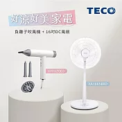【好涼好美家電】TECO東元 BLDC專業負離子吹風機 XYFXZ003+16吋DC馬達遙控立扇 XA1665BRD