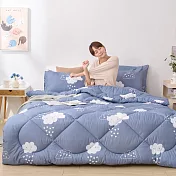 【DUYAN 竹漾】Heat-Fi 可水洗羽絲絨被 / 雲朵童話