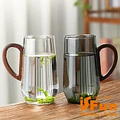 【iSFun】日式簡約 耐高溫帶把手玻璃茶水杯450ml/雙色2入 雙色