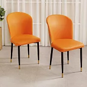 Homelike 喜家居曲面造型餐椅-2入組(二色可選)(2323) 活力橘