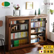 【DAIMARU】VITZⅡ比茨拉門五層收納櫃-幅120cm-深棕