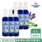 BodyTemple 精油乾洗手噴霧100ml x6件 無