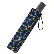 【RAINSTORY】潮流圖騰抗UV個人加大自動傘