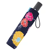 【RAINSTORY】渲黑花漾抗UV個人加大自動傘