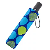 【RAINSTORY】雨滴葉抗UV個人加大自動傘