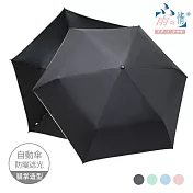 【雨之情】防曬輕收貓印自動傘  黑色
