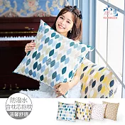 【雨之情】防潑水防沾毛抱枕_方形  藍葉