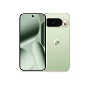 Google Pixel 10 Pro 5G 6.3吋 16G/256G/Tensor G5/5000萬鏡頭畫素/AI手機  綠玉色