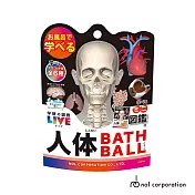 日本NOL-學研的圖鑑LIVE：人體器官入浴球(泡澡球)-5入(甜美柔和香/洗澡玩具/交換禮物)